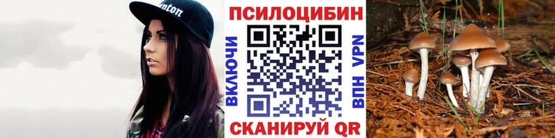 кракен зеркало  Красноармейск  Галлюциногенные грибы ЛСД 